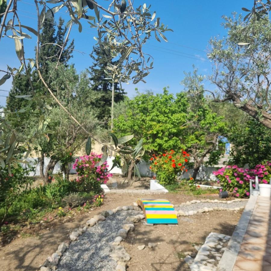 Arocaria - Faliraki Peaceful Apartments エクステリア 写真