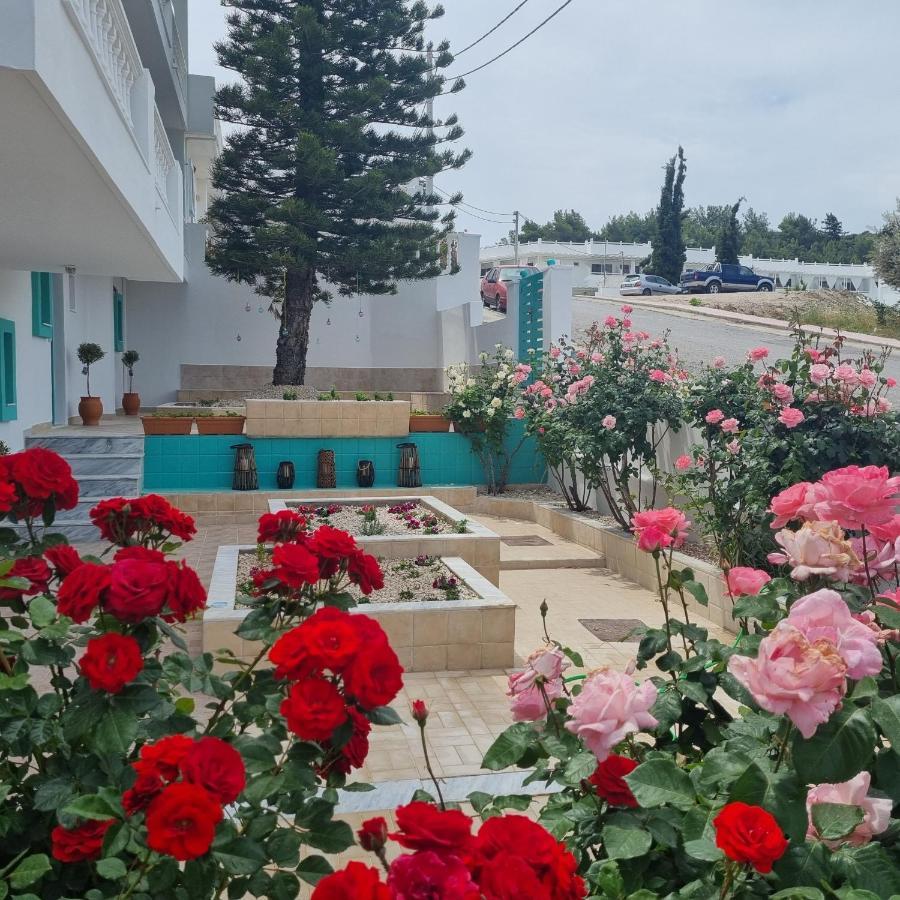 Arocaria - Faliraki Peaceful Apartments エクステリア 写真